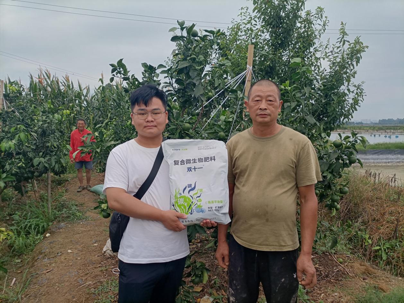 土壤板結的原因及解決辦法-夫沃施雙十一.png