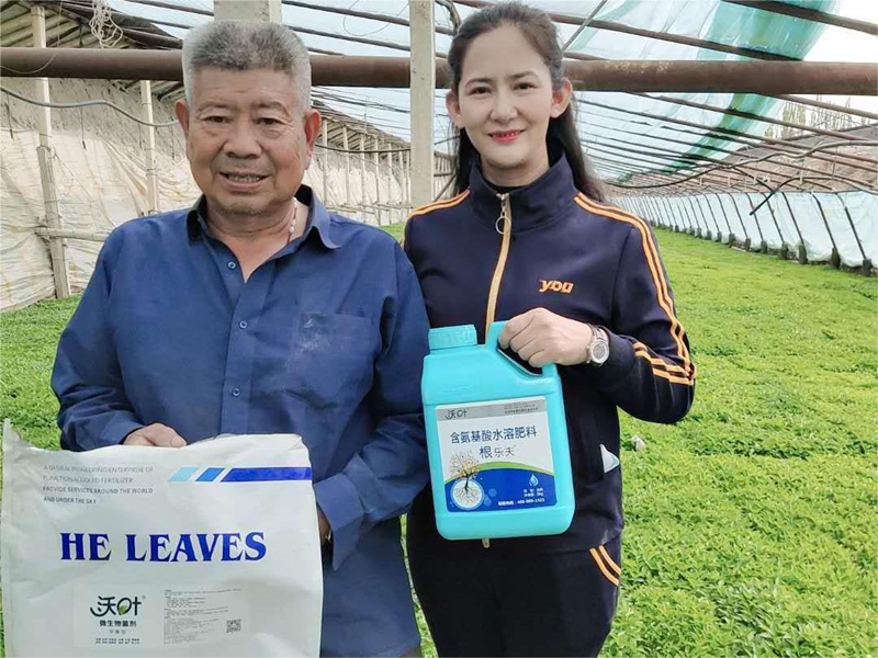 辣椒苗期施肥管理，掌握這項技術(shù)