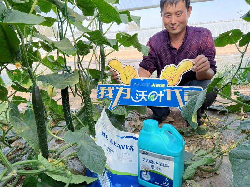 微生物菌劑越來(lái)越受歡迎的原因有哪些？