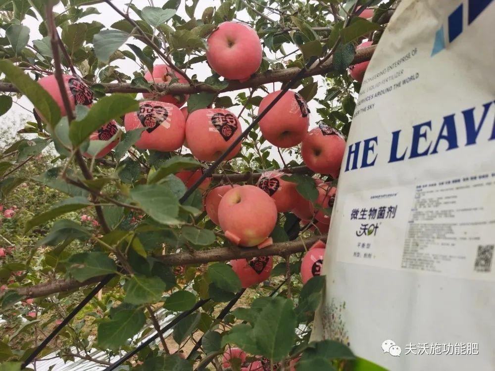 什么肥料能讓土壤變松？