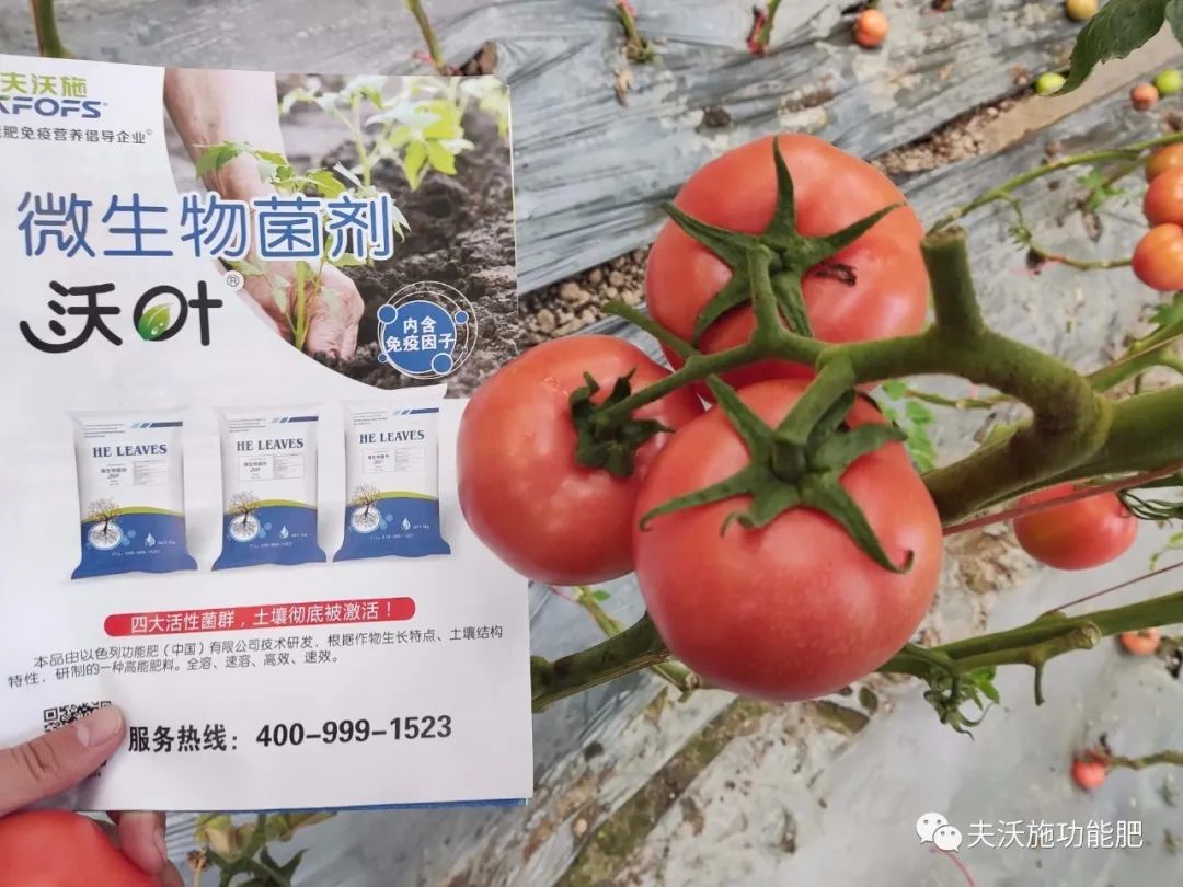 微生物菌劑選哪家？