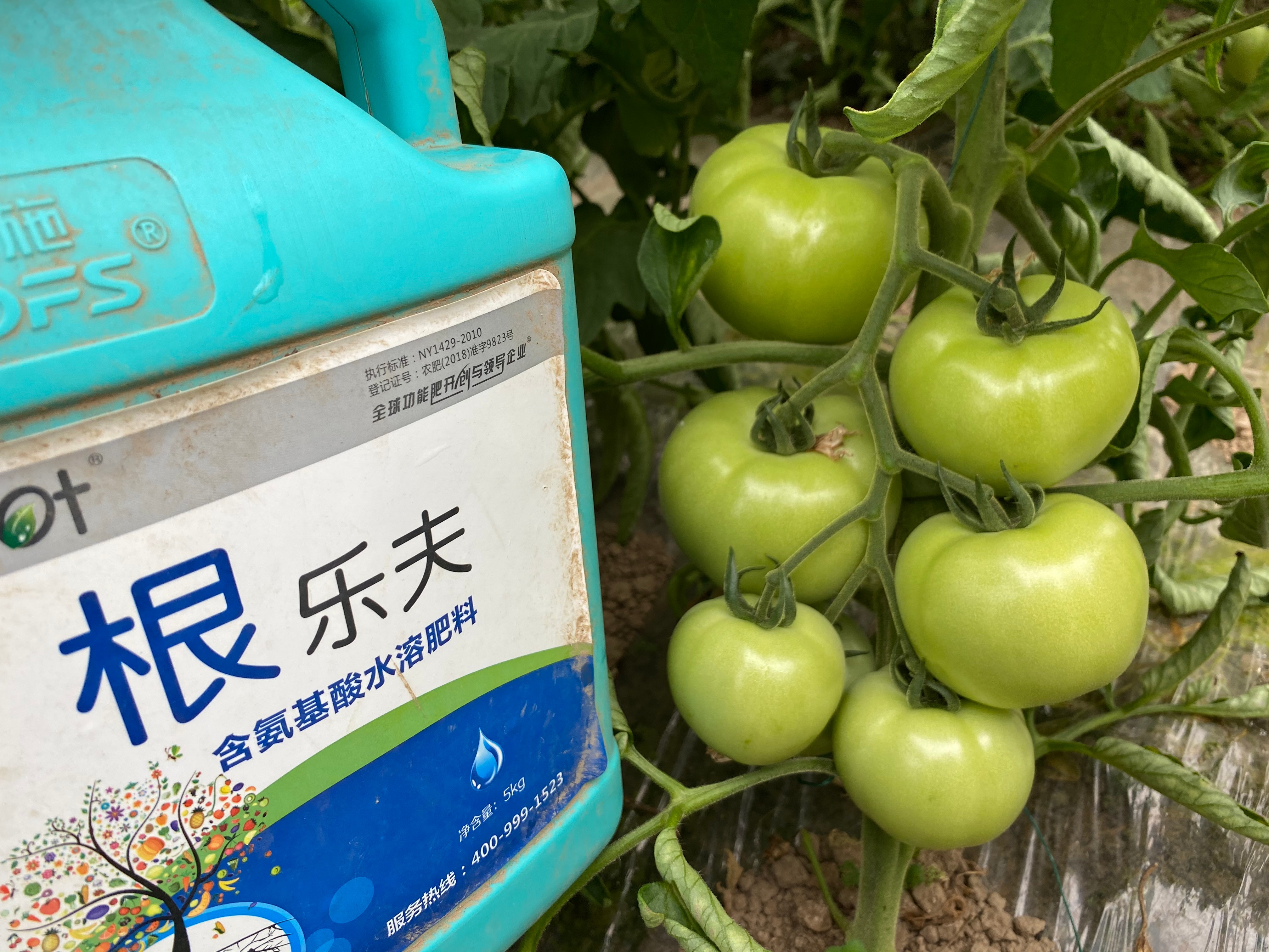 生根劑效果好不好？