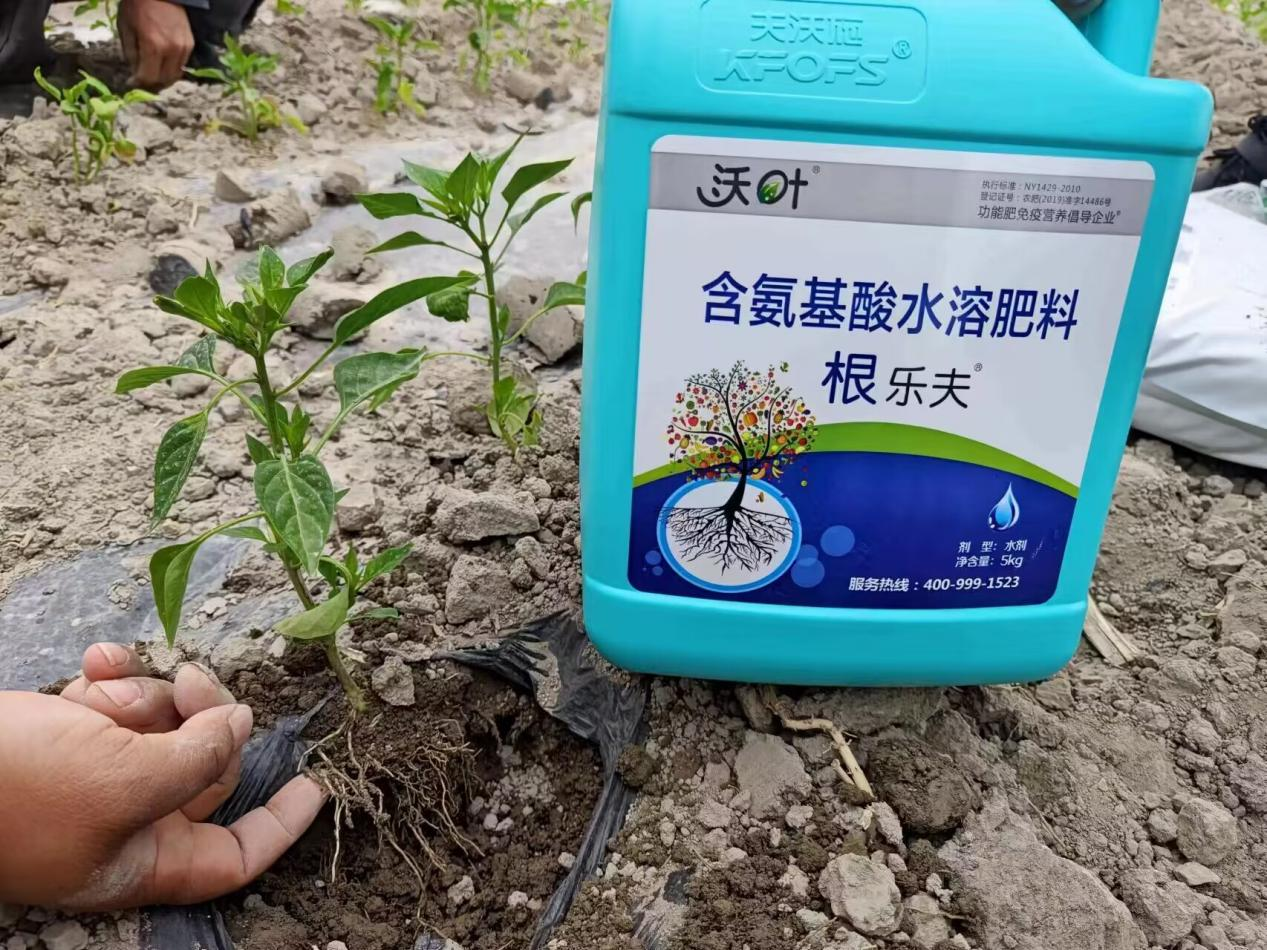 什么生根劑最好？看評價很高的這款