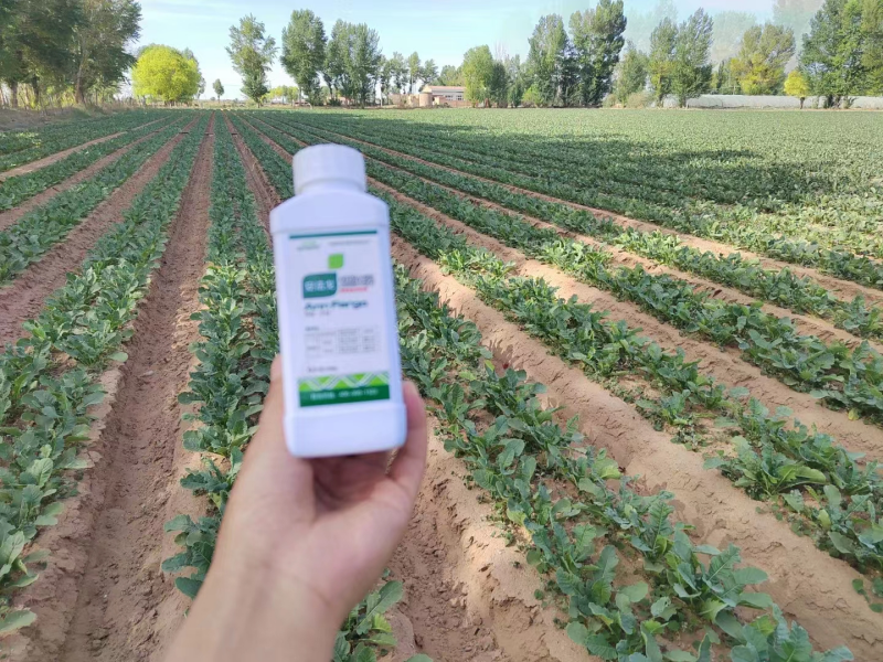 除草劑藥害怎么辦？安法戈來解決！