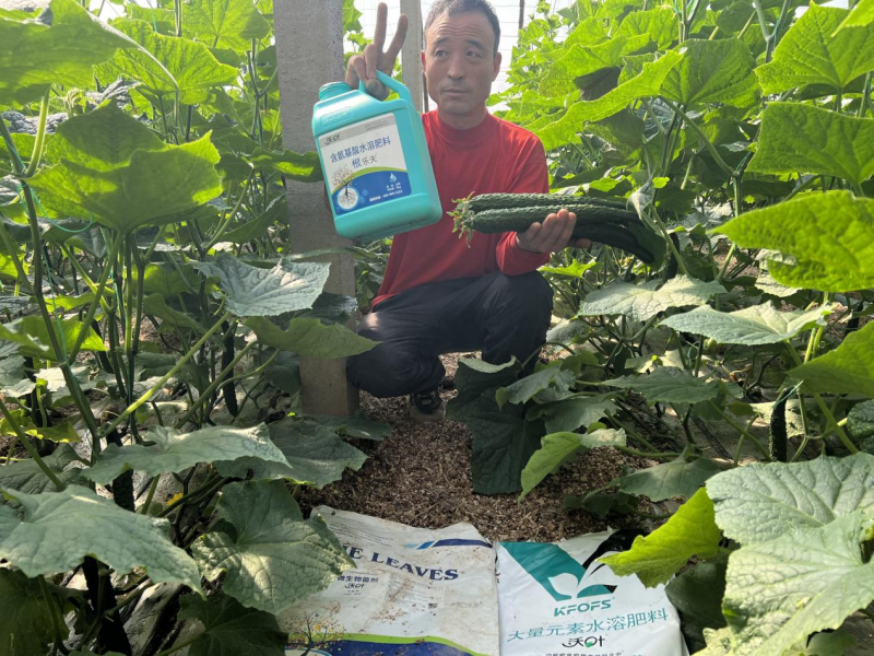 種植蔬菜用什么肥料最好？?jī)蓚€(gè)解決，兩個(gè)方案
