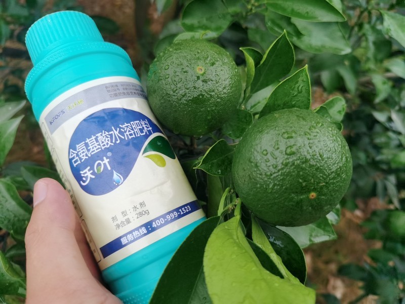 解密植物對(duì)氨基酸的吸收原理，夫沃施掌握氨基酸水溶肥核心科技