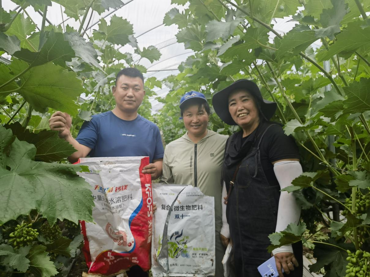 葡萄采收后施什么肥好？-用戶(hù)見(jiàn)證.png
