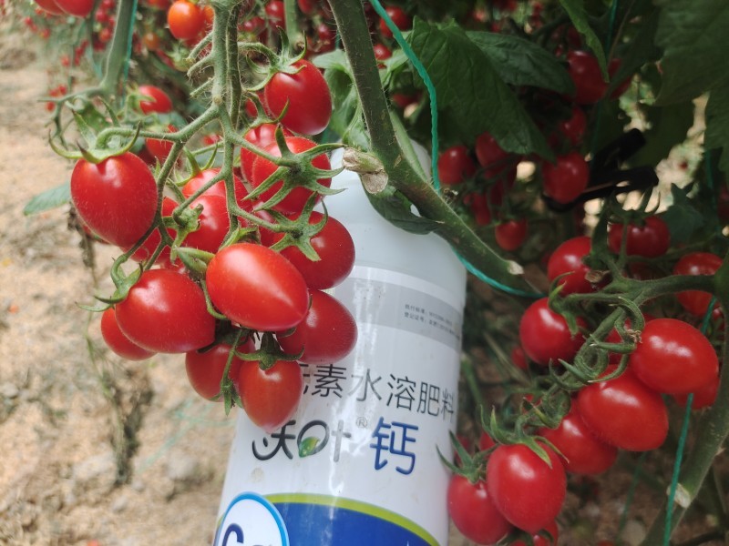 水溶肥挑選技巧掌握了，種啥都中