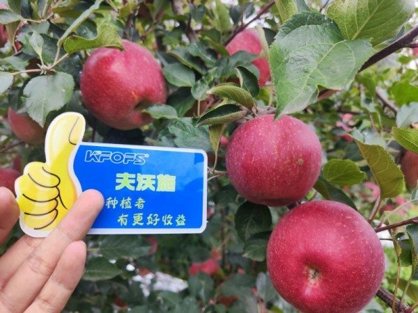 微生物菌劑，作物增產(chǎn)的“敲門磚”