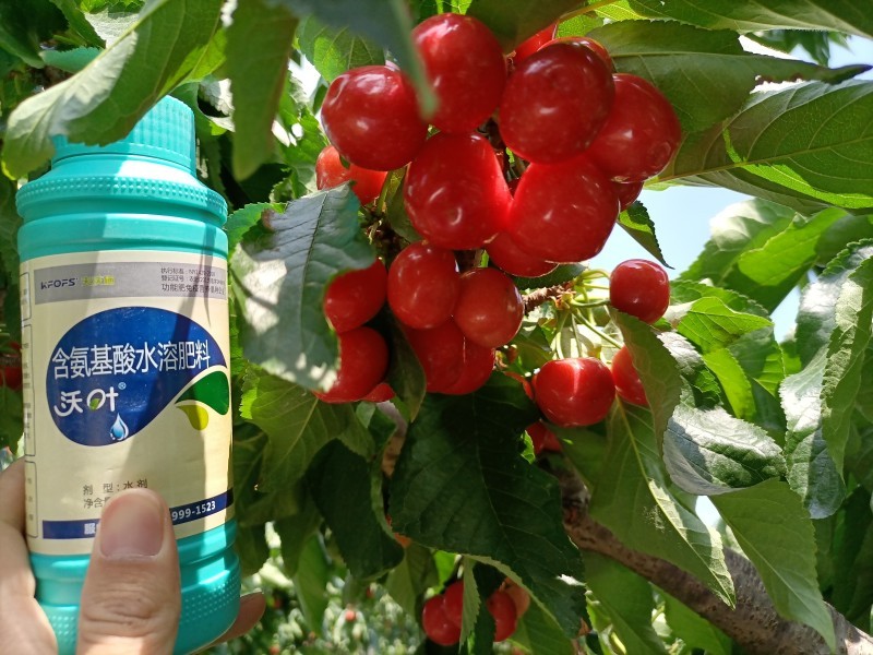 葉面肥什么時(shí)候用，你知道嗎？