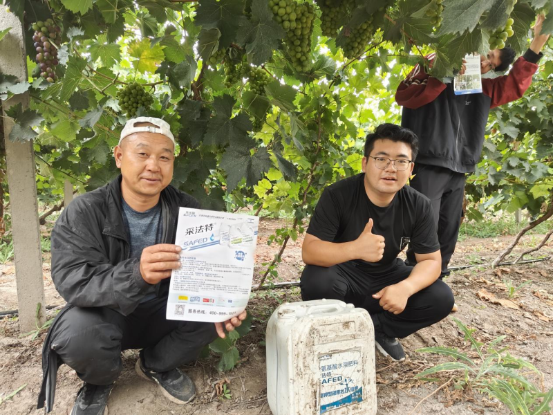 氨基酸肥料的作用你了解多少？