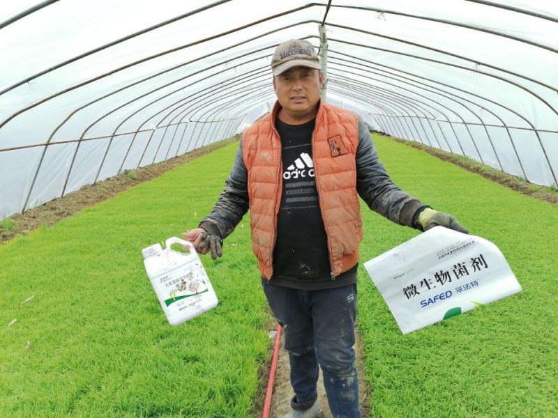 微生物菌劑-采法特微生物菌劑用戶見(jiàn)證.png