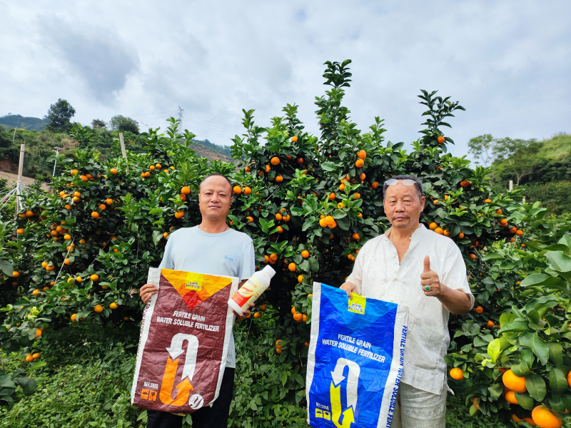 土壤板結(jié)到底能不能解決？