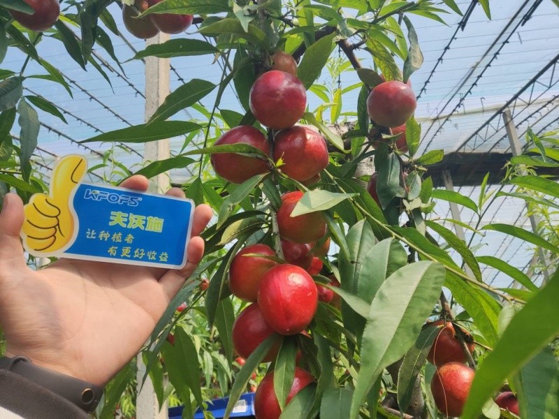 微生物菌劑的作用，你真的了解嗎？