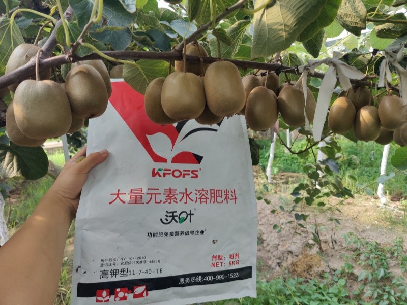 獼猴桃施肥用什么肥料？