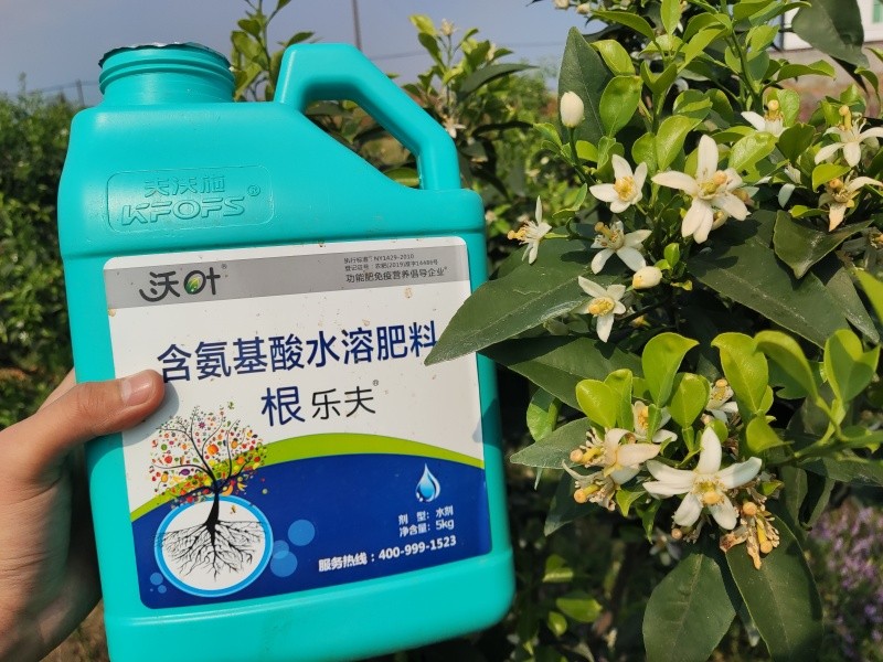生根劑選哪個(gè)？