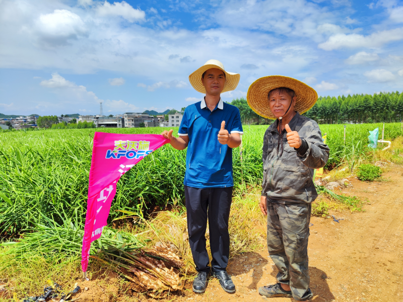 生根劑不能錯(cuò)過的3個(gè)時(shí)期，你知道嗎？