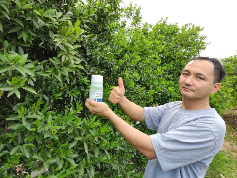 柑橘用什么肥料好？