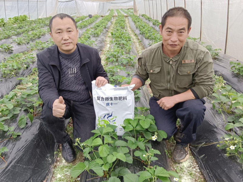 土壤板結(jié)的原因及解決辦法，總結(jié)6點
