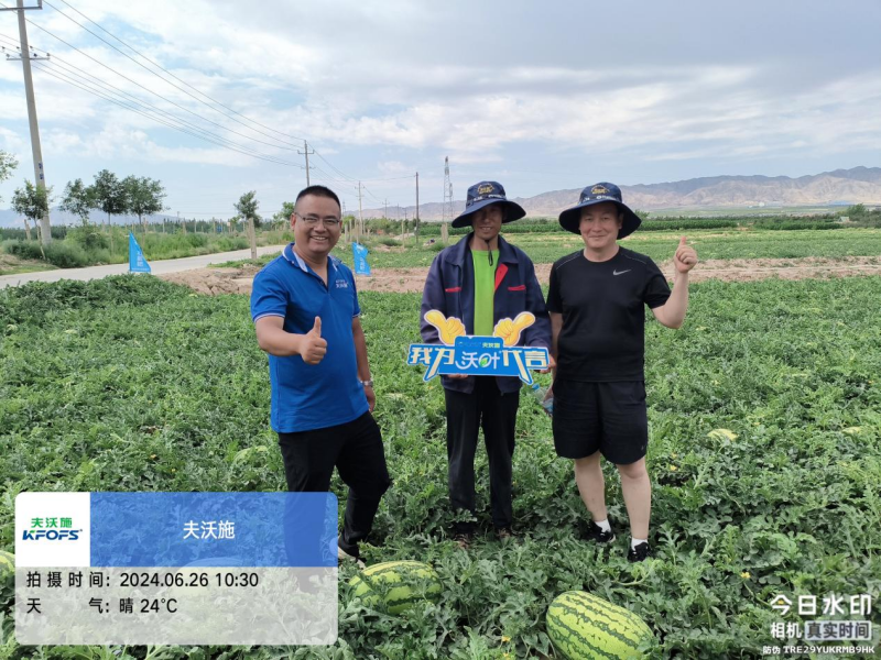 西瓜藥害怎么辦？水溶肥調(diào)理解決