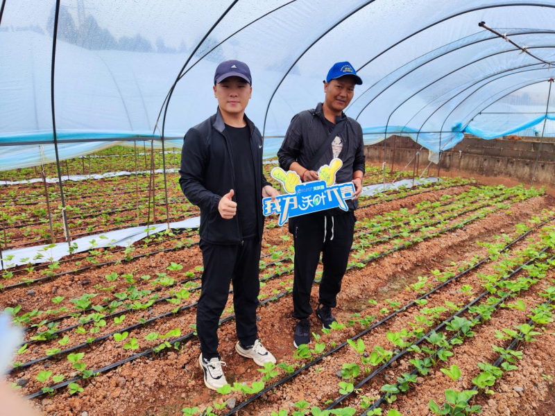 水溶肥-夫沃施功能水溶肥用戶見(jiàn)證1.png