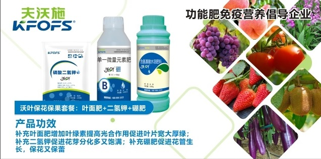 沃葉?；ū９~面肥套餐一.png
